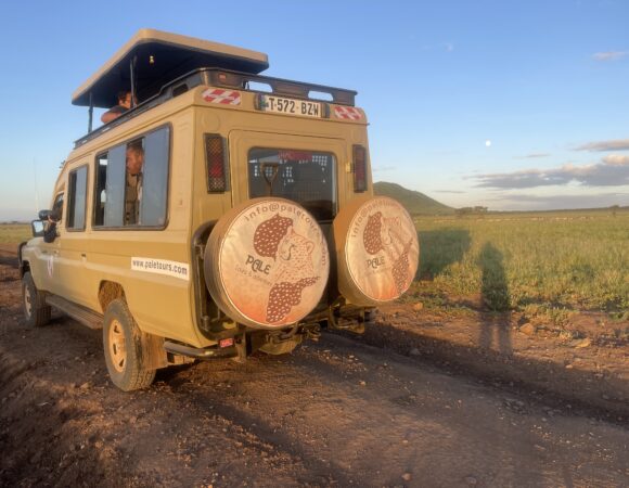 8-Day Kilimanjaro Lemosho Route + 3-Day Safari (Tarangire , Lake manyara & Ngorongoro)