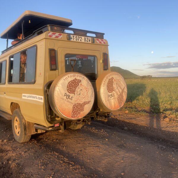 8-Day Kilimanjaro Lemosho Route + 3-Day Safari (Tarangire , Lake manyara & Ngorongoro)
