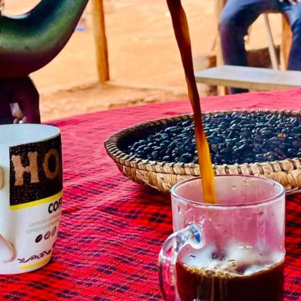 Materuni Waterfalls, Coffee Tour & Chemka Hot Springs Day Trip