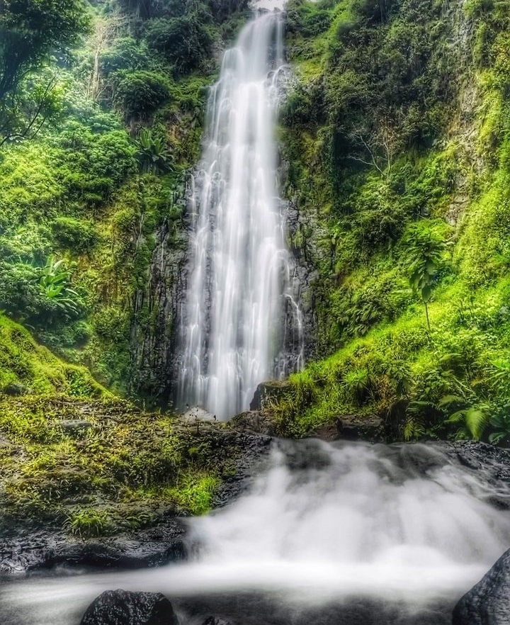 Materuni Waterfalls,Coffee  & Chemka Hot Springs Day Trip