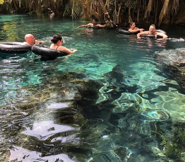 Materuni Waterfalls, Coffee Tour & Chemka Hot Springs Day Trip