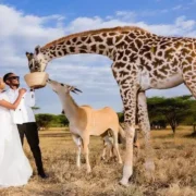 Full 1-Day Itinerary: Zanzibar to Serval Wildlife