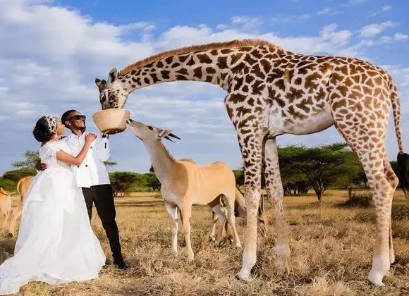 Can You Do a Day Trip From Zanzibar to Serval Wildlife?