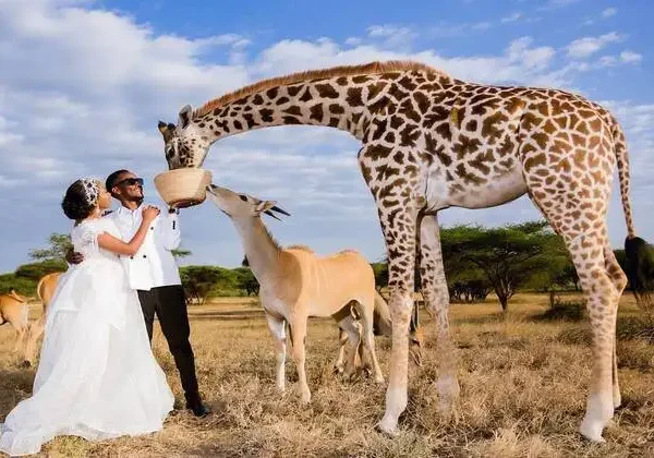 Full 1-Day Itinerary: Zanzibar to Serval Wildlife