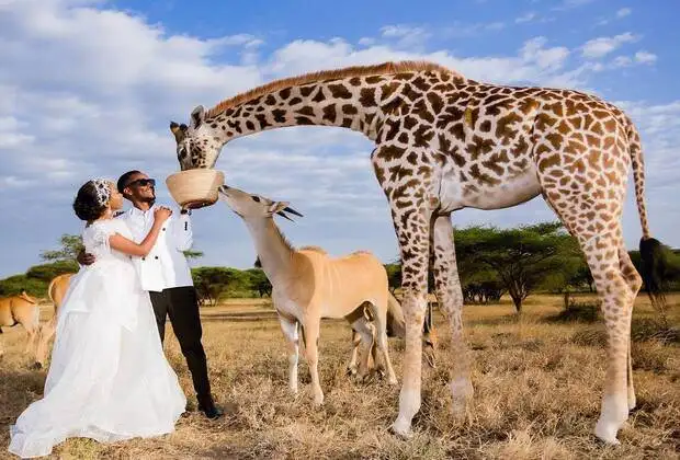 Full 1-Day Itinerary: Zanzibar to Serval Wildlife