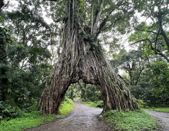 1 Day Mount Meru Hiking Tour