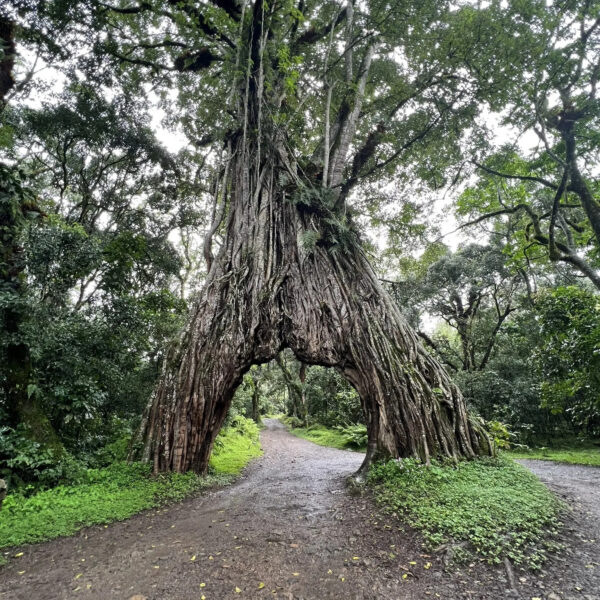 1 Day Mount Meru Hiking Tour