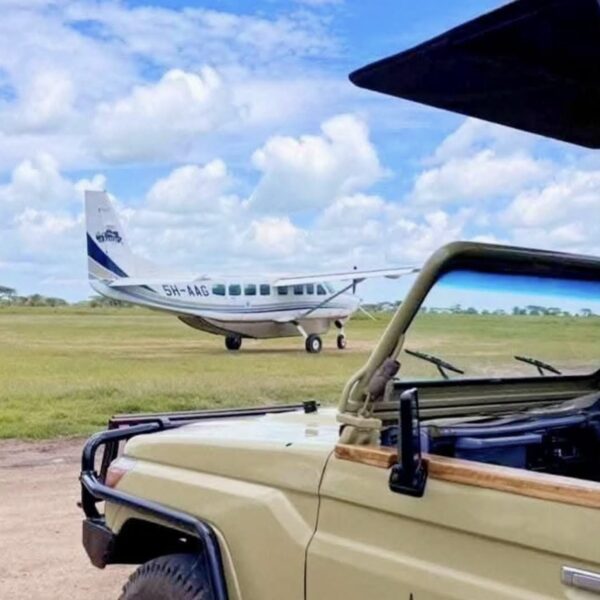 3 Days Fly-In Safari from Zanzibar