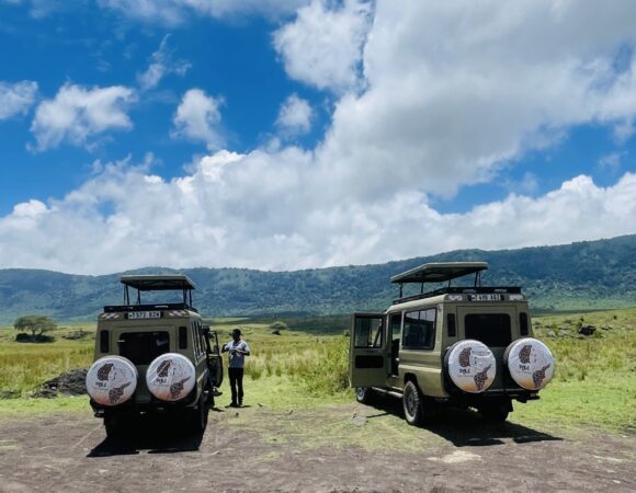 Ngorongoro Crater Day Trip Safari