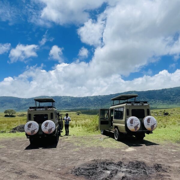 Ngorongoro Crater Day Trip Safari