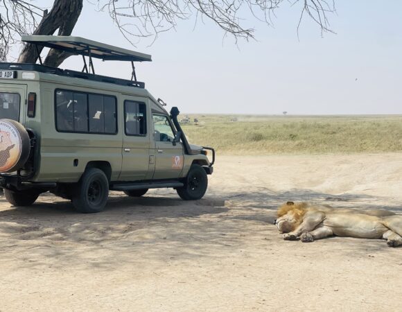 Which Is the Best City to Stay Before Your Tanzania Safari: Arusha or Moshi?