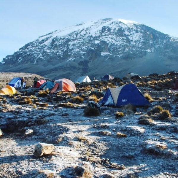 12-Day Tanzania Tour: Kilimanjaro Marangu Route, Tarangire National Park Safari & Zanzibar Beach Vacation
