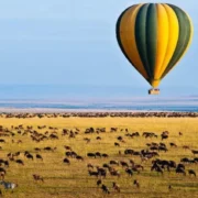 Tanzania Safari Packing List