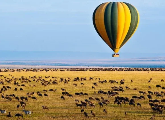 Complete Tanzania Safari Packing List: Everything You Need for an Unforgettable Adventure