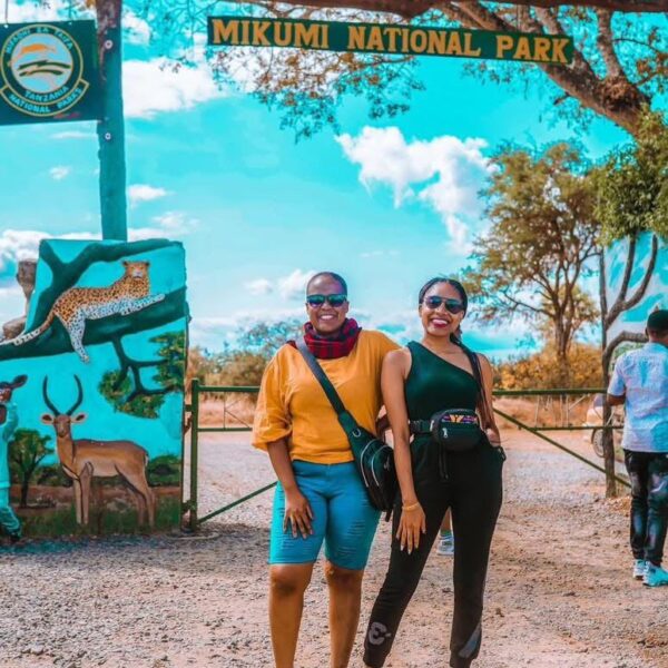 https://paletours.com/mikumi-national-park/