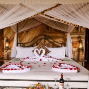 Should You Bring a Mosquito Net for Your Tanzania Safari?