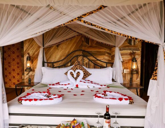 Do You Need a Mosquito Net While on Safari in Tanzania?