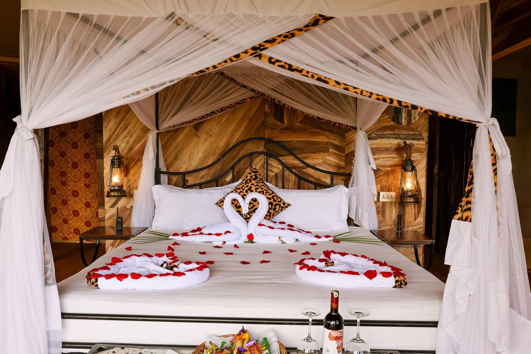 Should You Bring a Mosquito Net for Your Tanzania Safari?