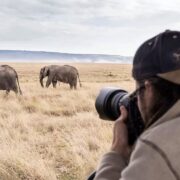 What are best camera to using in taranzania safaris ?