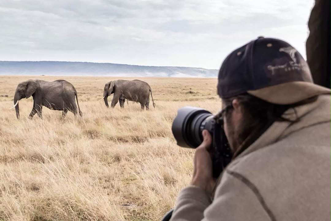 What are best camera to using in taranzania safaris ?