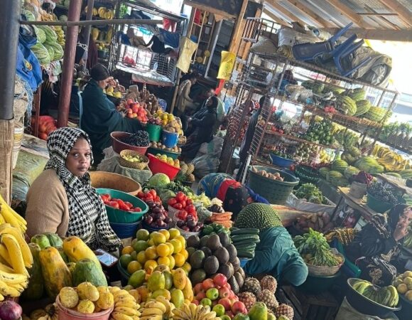 What to Do in Moshi After Climbing Mount Kilimanjaro